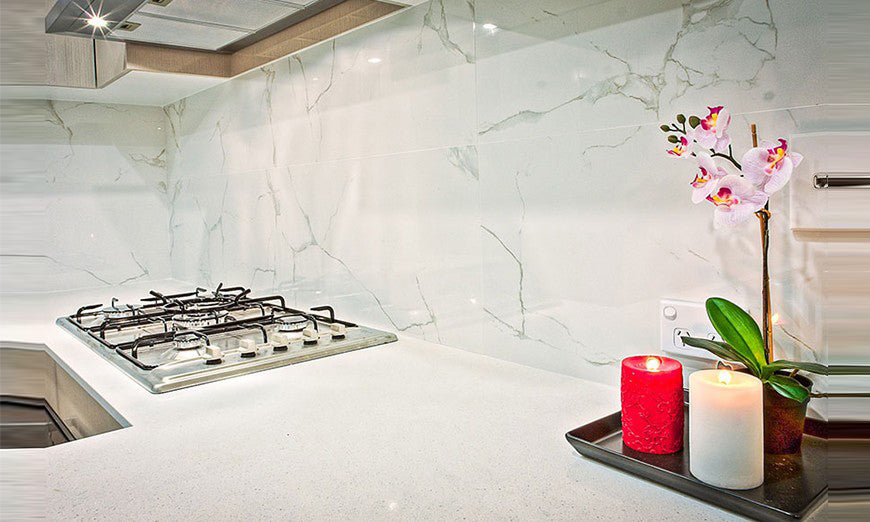 Scelerisque Vestibulum Urna